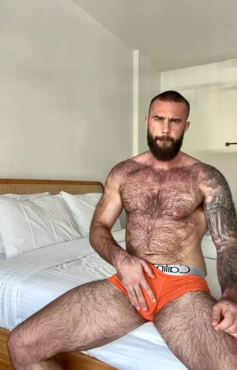 Feeling extra hairy today, but At what point am I too hairy? posted by bwarren106