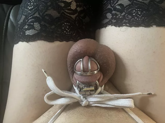 Feels so good being locked and shaved by femboy-michelle