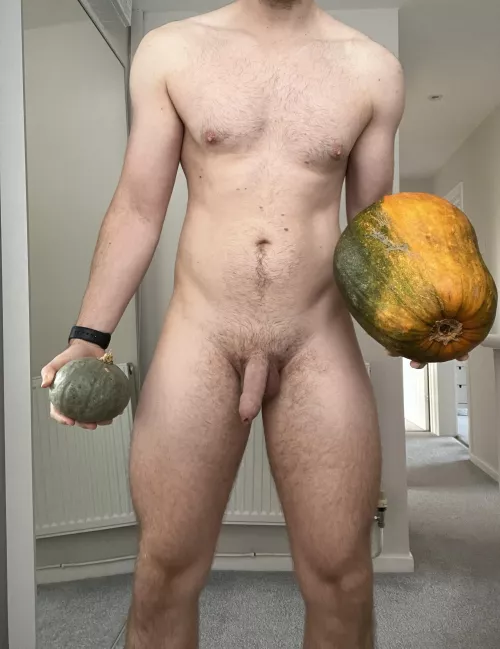 Happy Halloween! Which pumpkin are you choosing? by greenrocks22