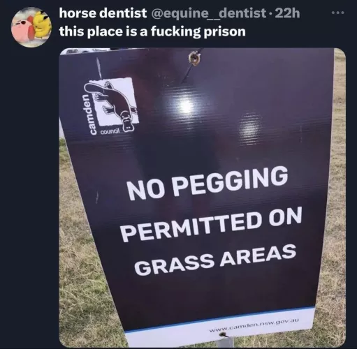 Horse Dentist is speaking facts by literally_nobody_123
