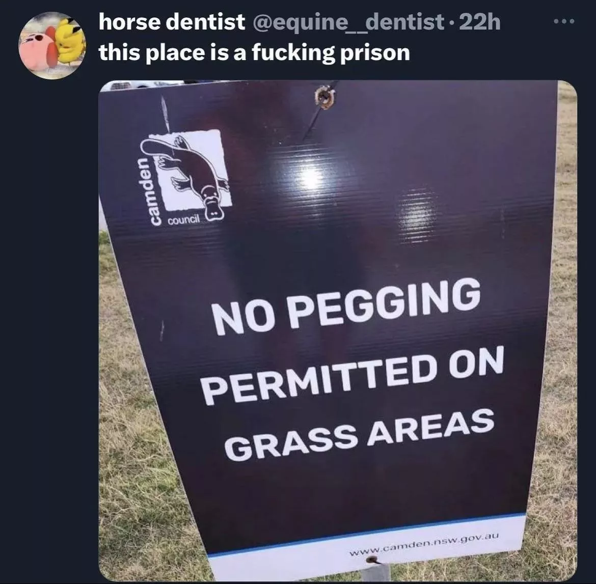 Horse Dentist is speaking facts posted by literally_nobody_123