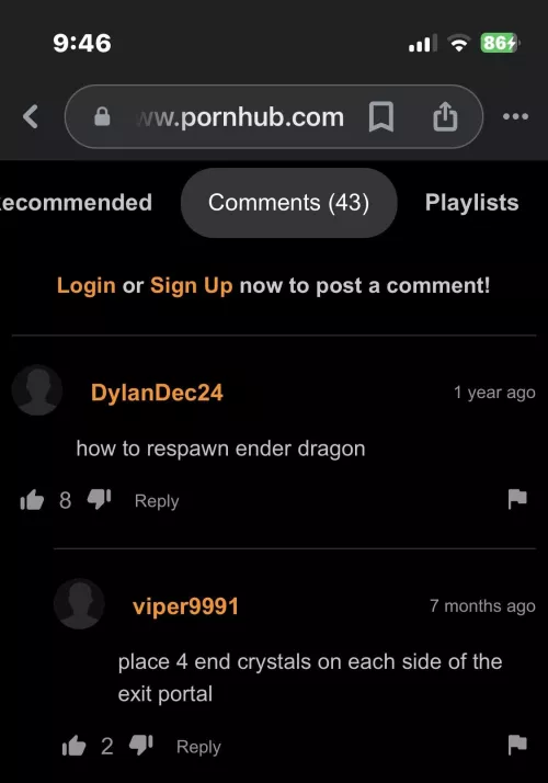 How to respawn the inder dragon by imwill3243