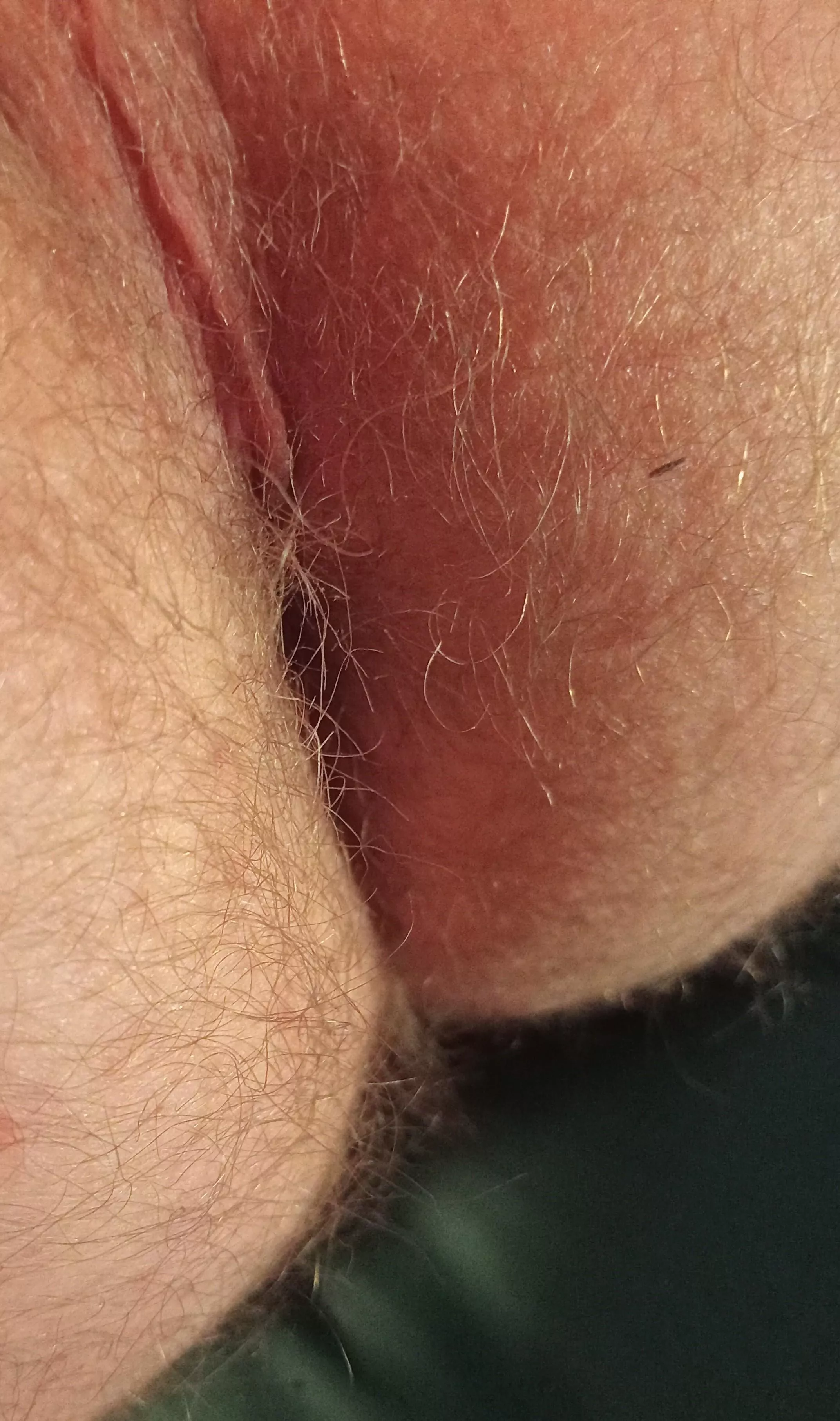 I belong here 😉 posted by Ok-Capital-548