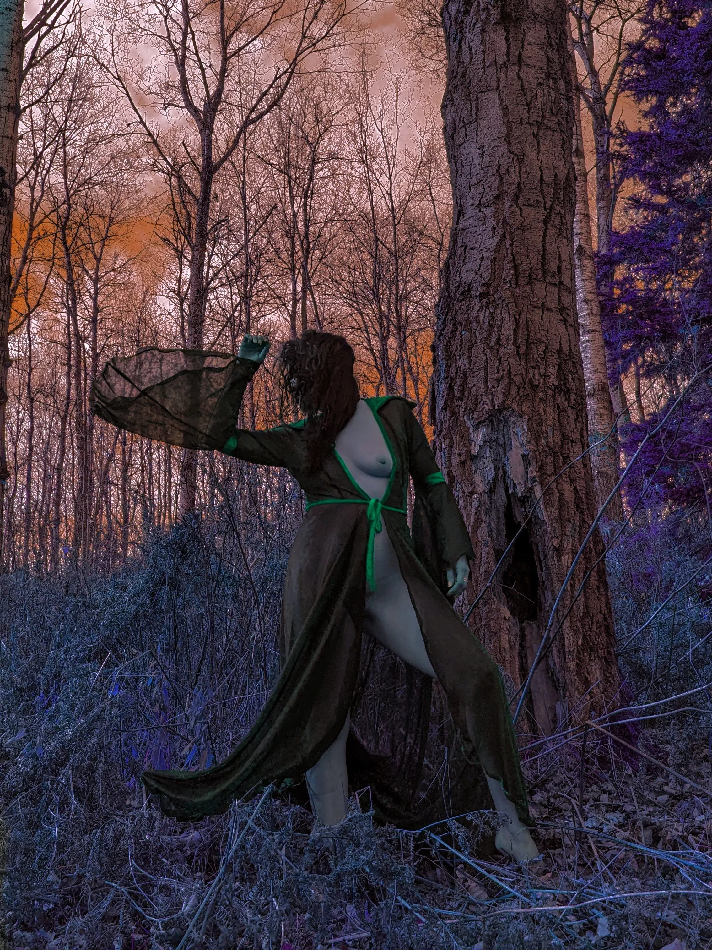 Must be the season of the witch posted by DaddysCuriousKitty