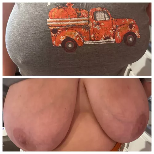 On/off harvest by AliciaBibs