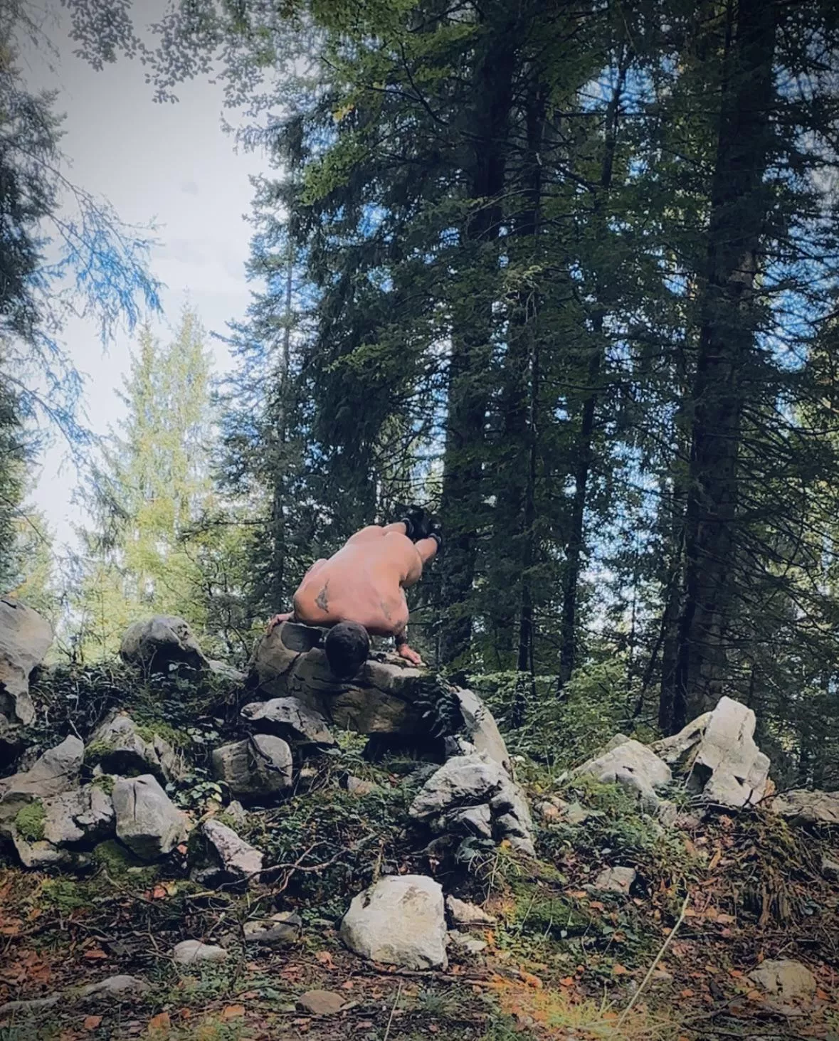 Plank on the Rocks posted by ulixeshaus