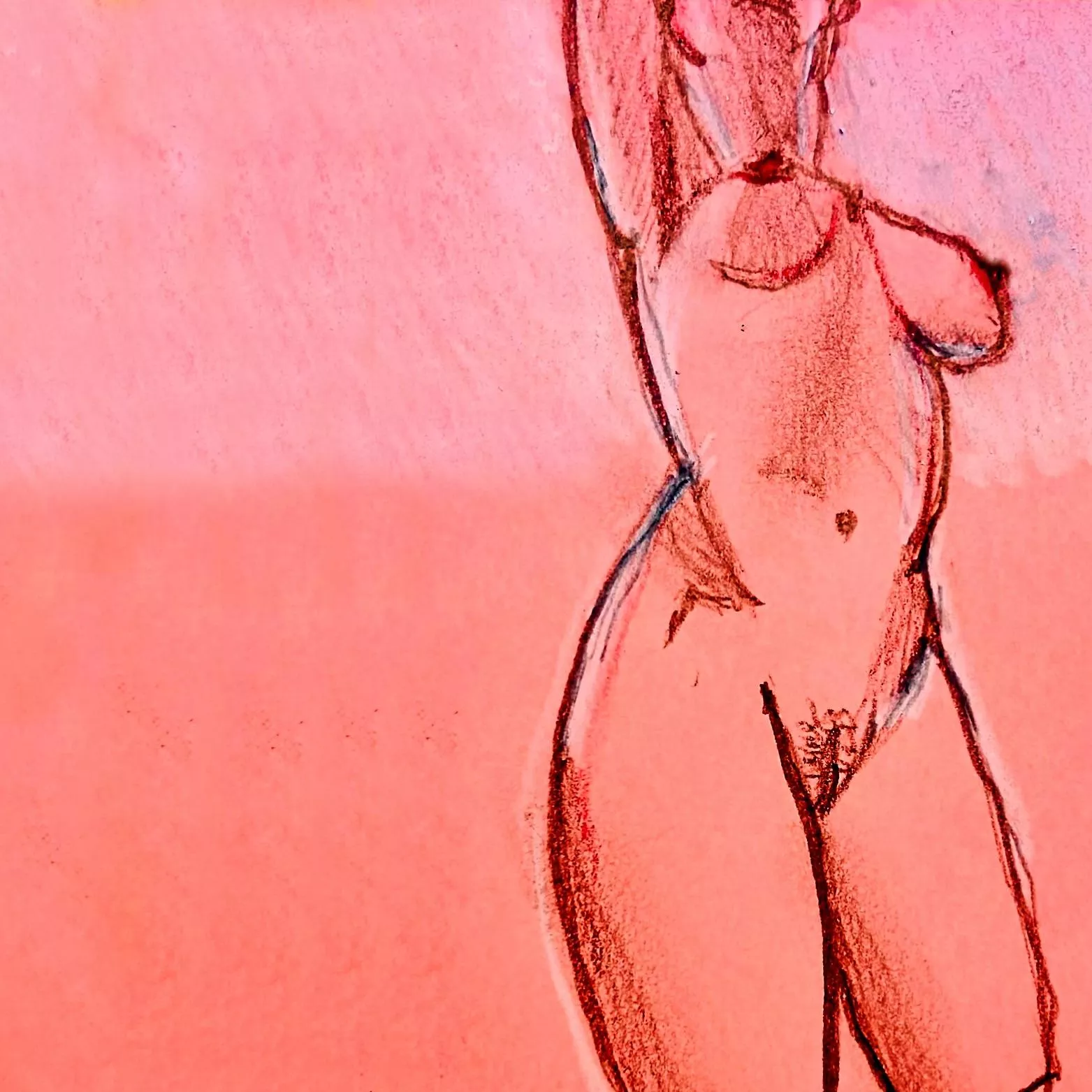 quick pencil study… posted by RangeAggravating5626