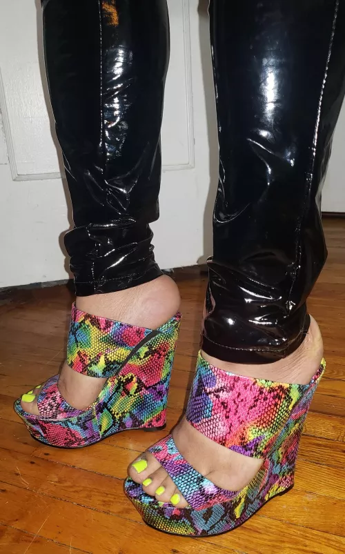 Rainbow wedges by BiscottiIntrepid7252