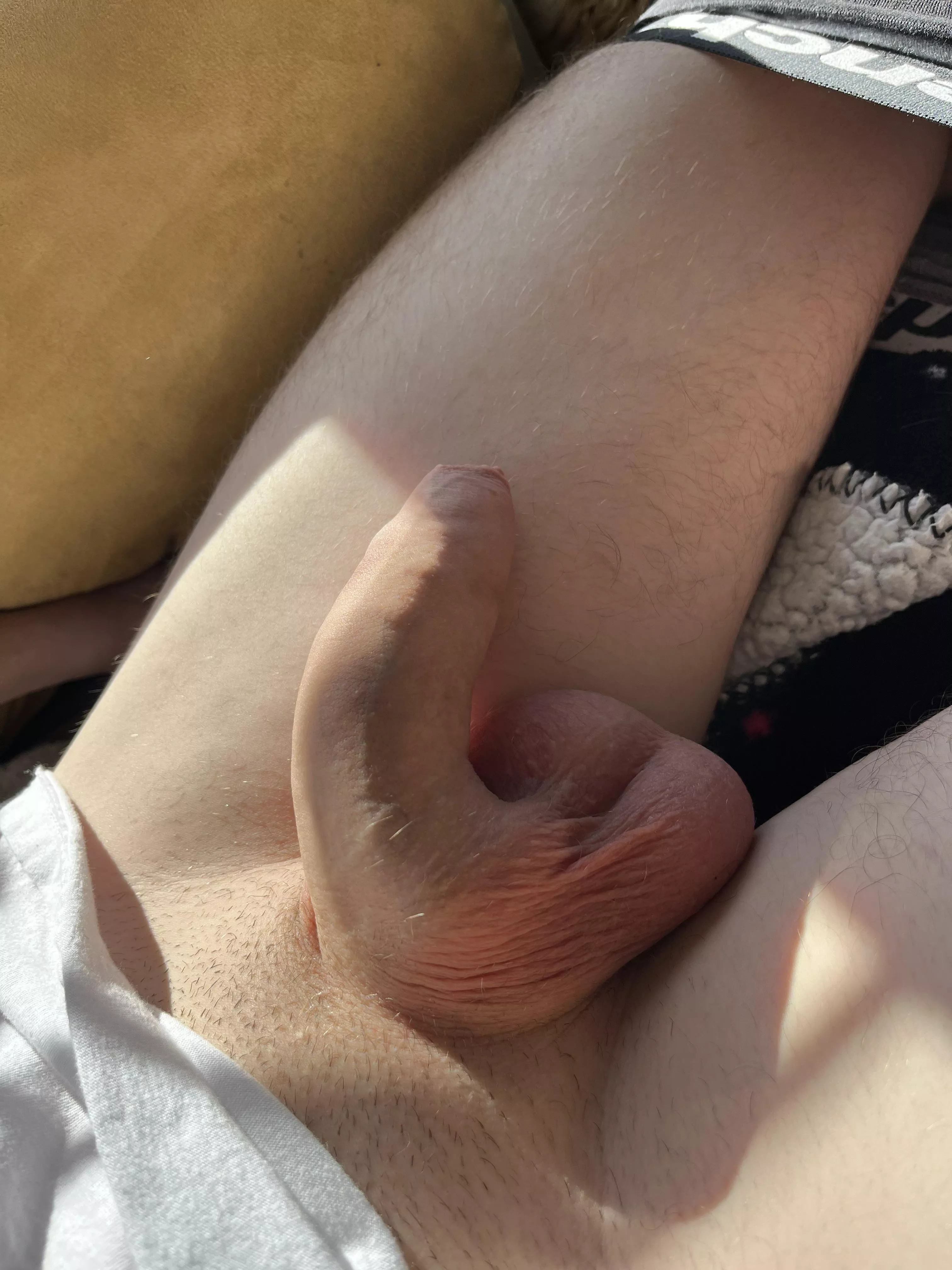 ready to go balls deep and unload twice in someone posted by Mr_Dragon-