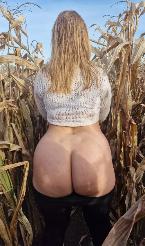 Well – it's a deserted cornfield, but not really, because my scary big ass is in it. Heh by CukierkowaZgrywuska