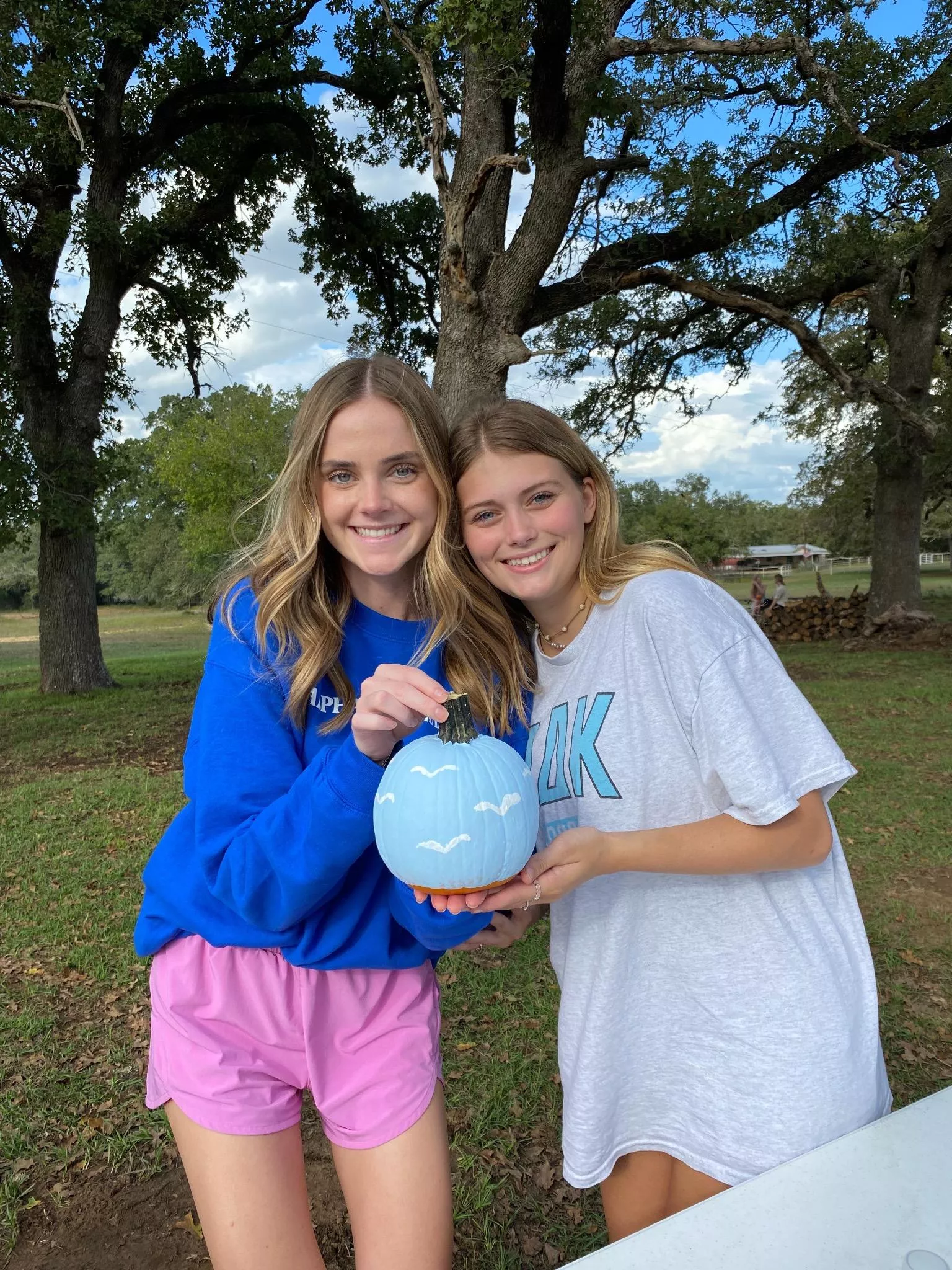 Who are you picking? [2] posted by HorrorLandscape2217