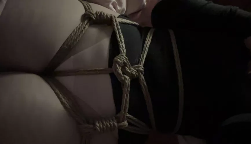 A little hip harness I made following the rope by zvuoq