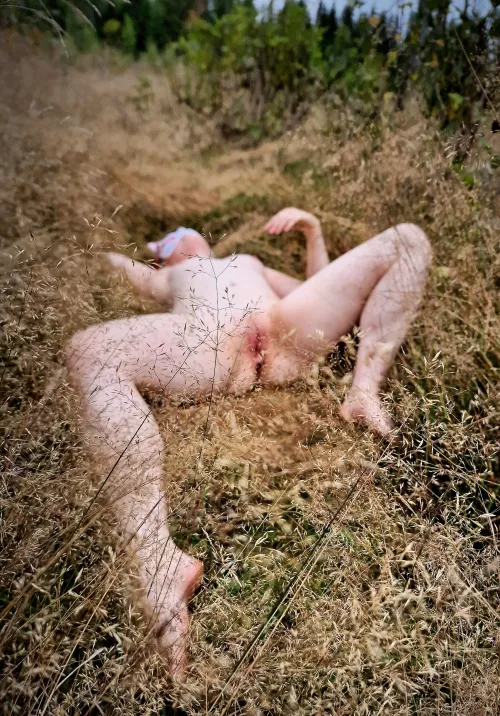 Autumn field by Finnishnymph