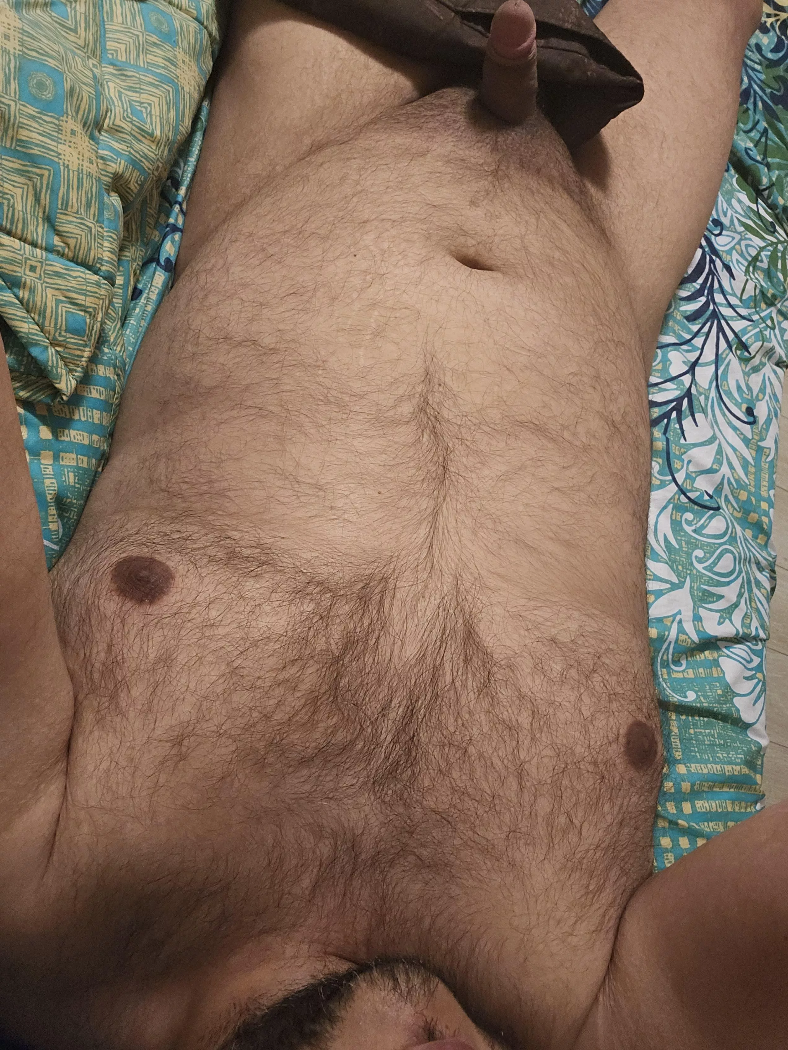 averting midweek crisis (39) posted by CuddlyandWuddly