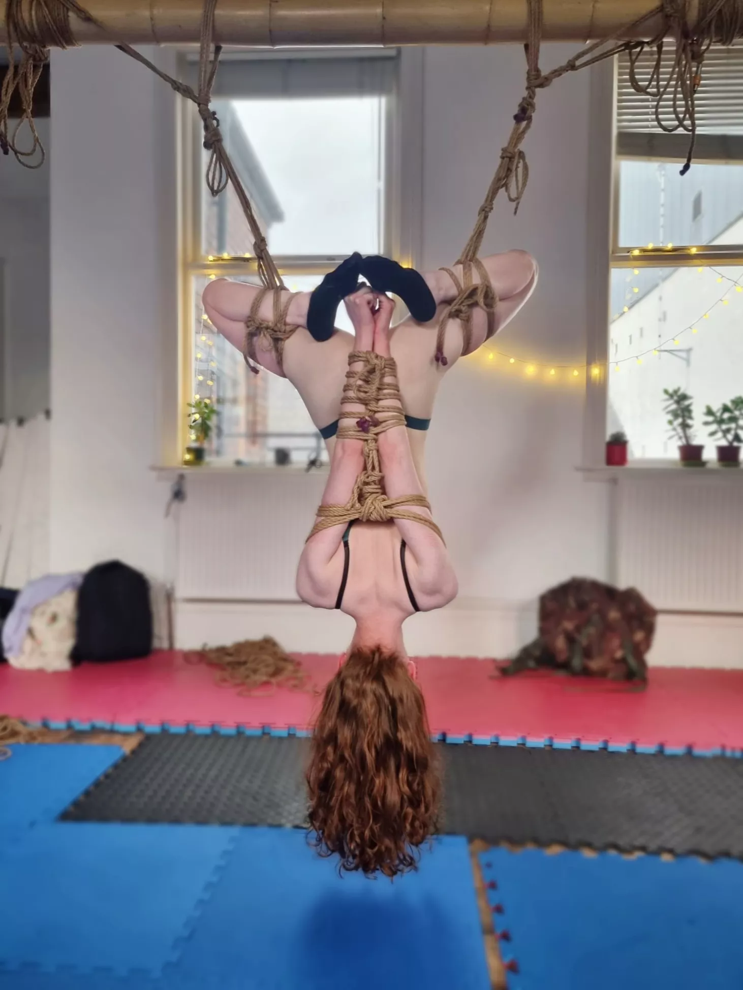 Dangling upside down 🙃 posted by alterskyex