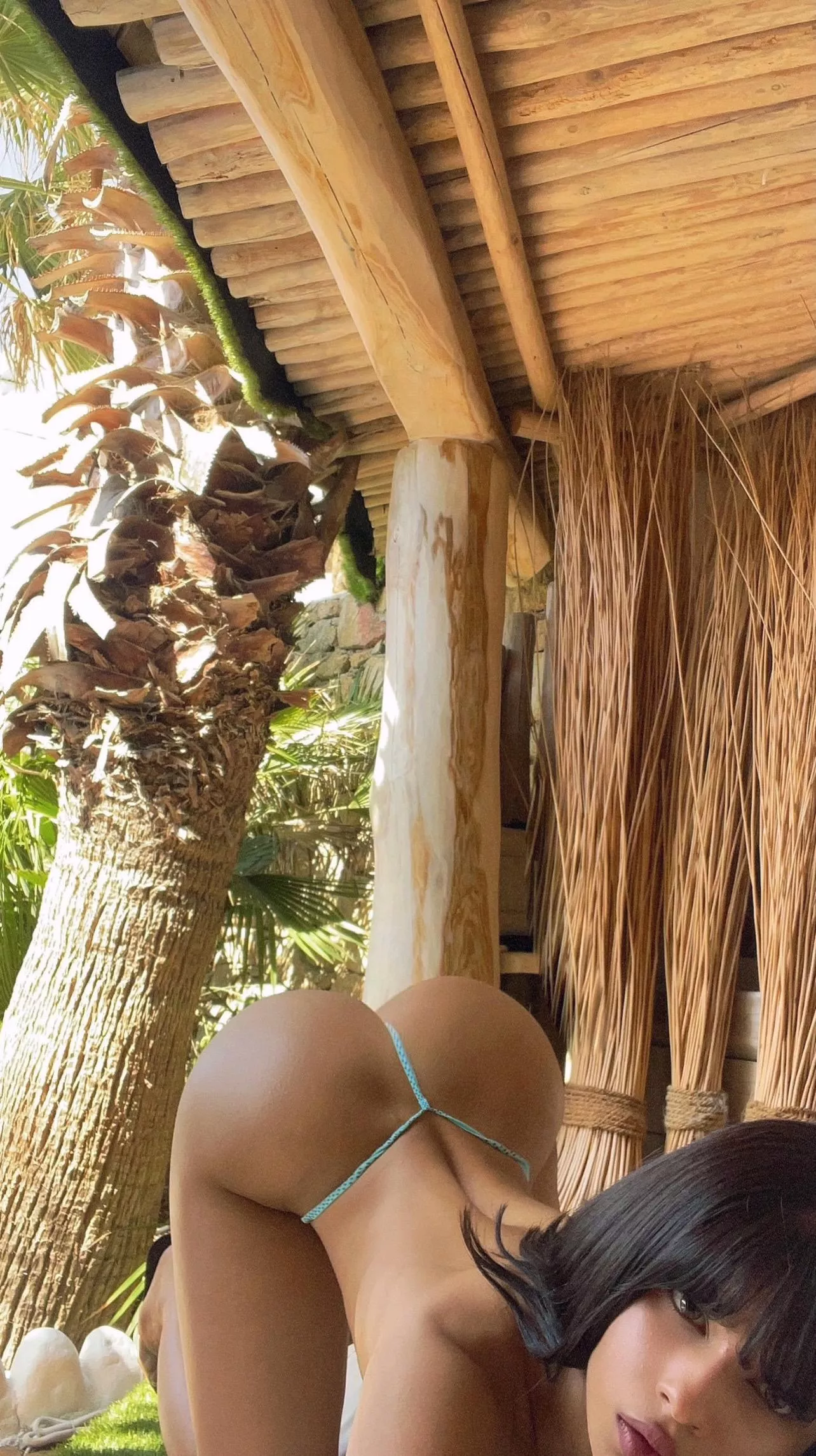 Fantasizing about being fucked from behind... posted by DirectApartheid