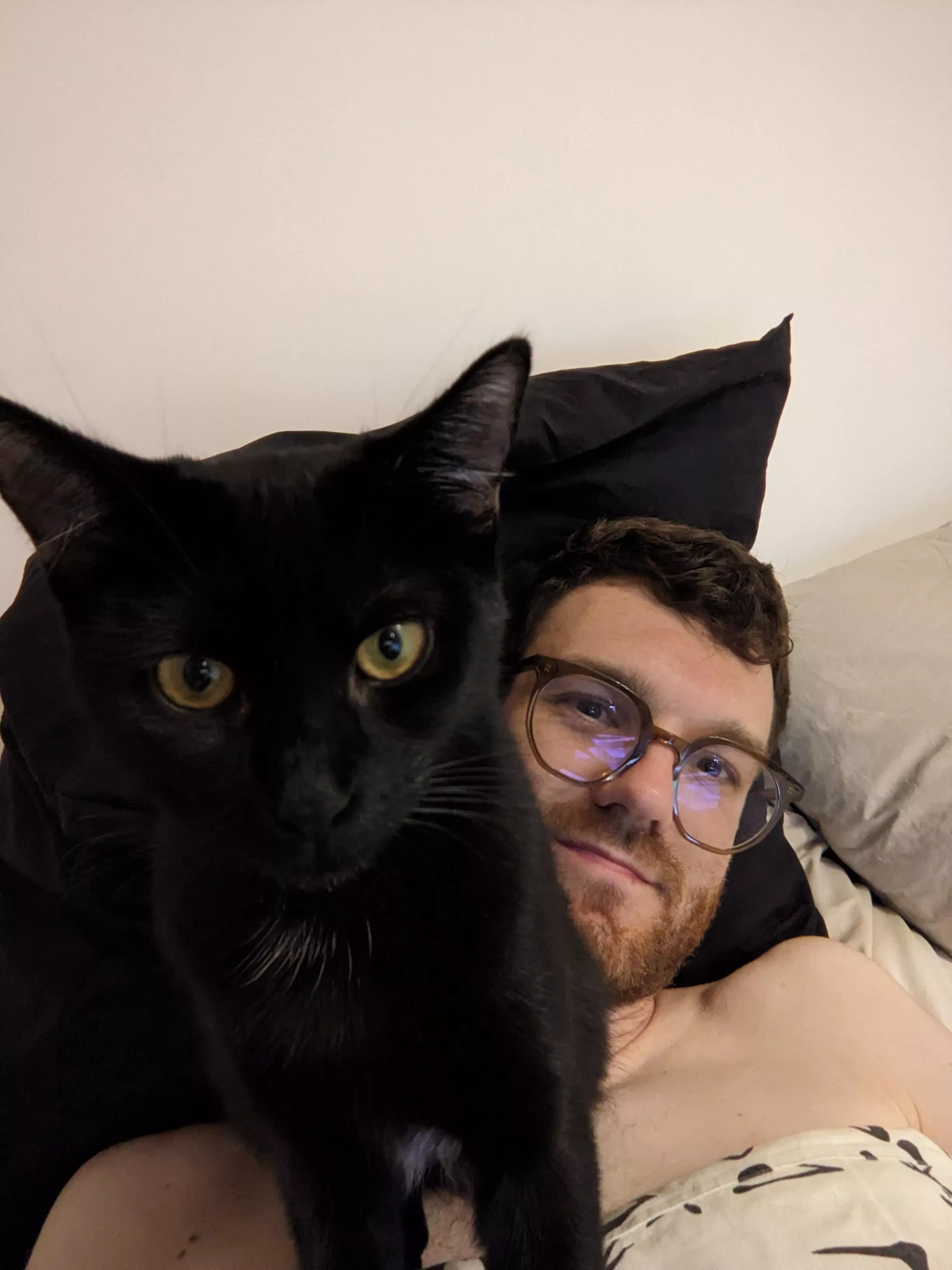 HELLO 😸 posted by KienLang_