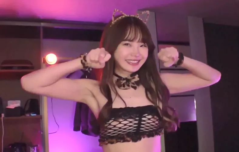 Help with code or name for cat girl? by fgk257