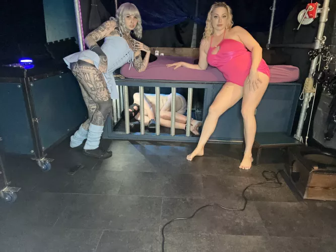 What a good dog🐕 by SGracelyn