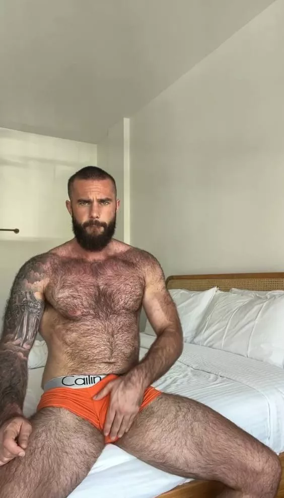 What would you wish to do with my hairy body if you were my neighbor, could you resist touching it or sniffing it?? posted by bwarren106