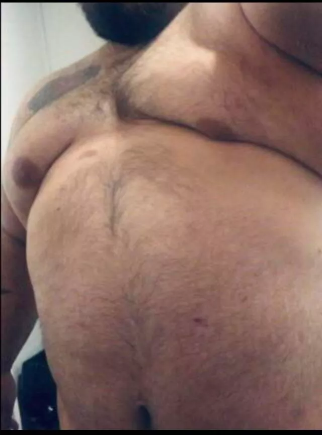 33m PNW, Who needs some teddy bear snuggles? posted by Repulsive-Ranger646