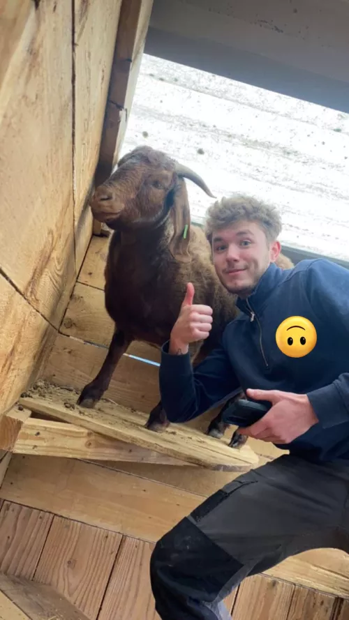 After doing her health check I think its safe to say Astrid has had enough of my shit 😂 by BrbMakingACuppaT