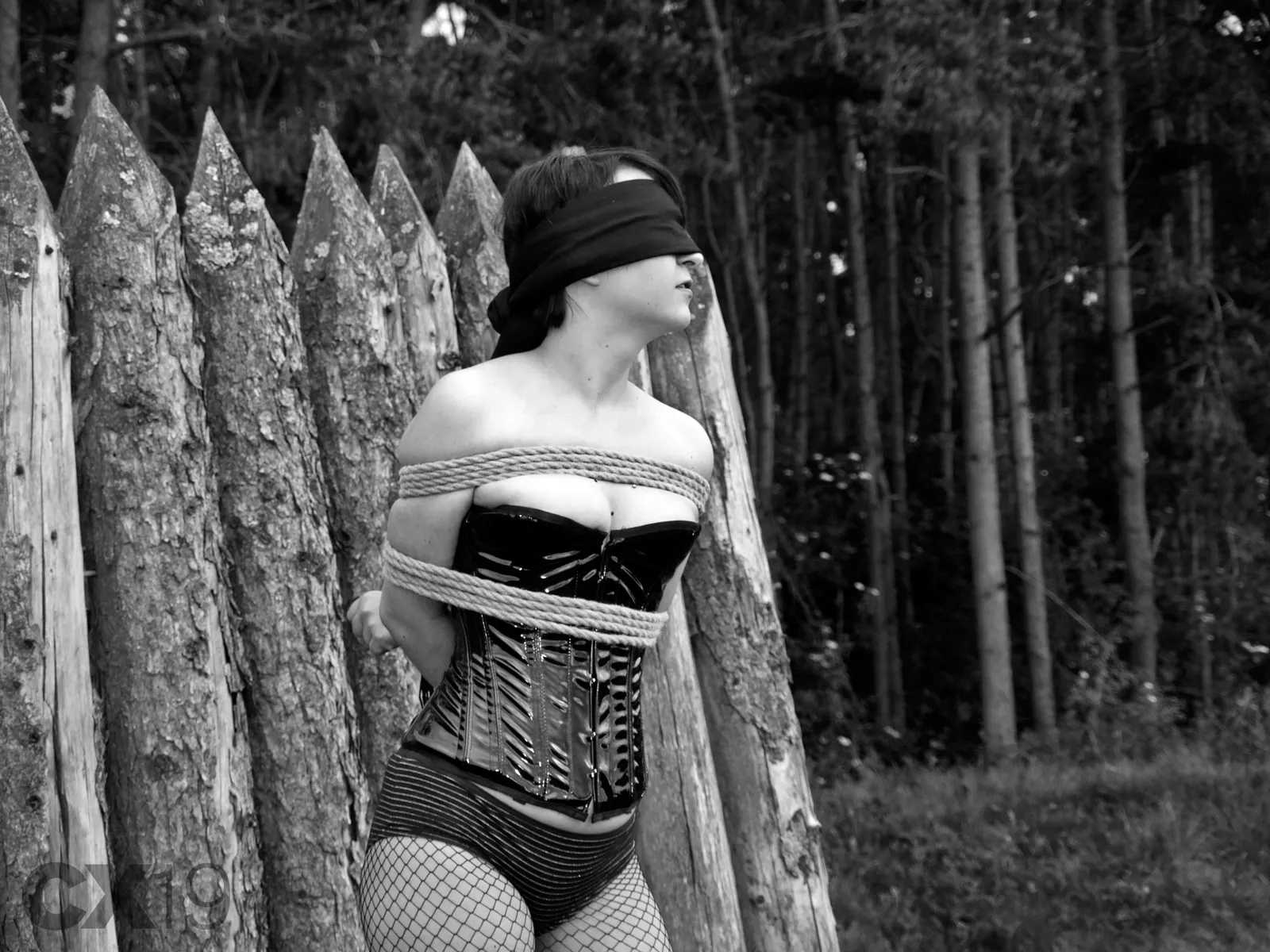 Bound and Blindfolded Outdoors posted by Comfortable-Egg1572