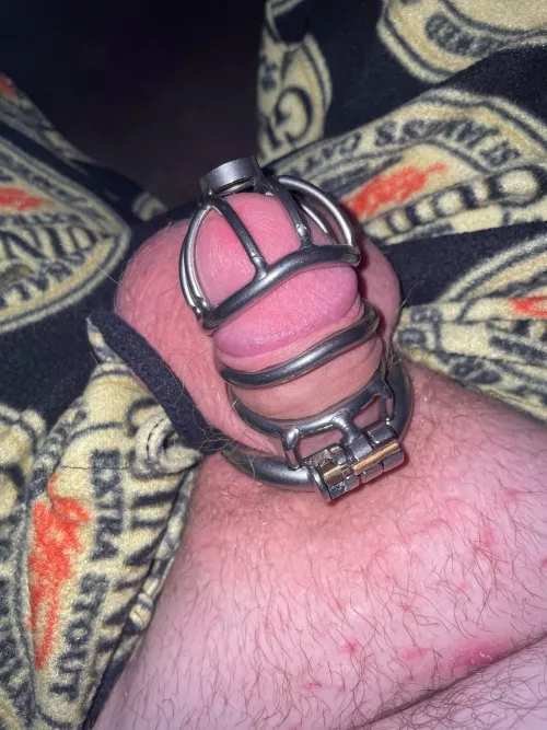 Caged and needy for a pounding by Lockedlocked563