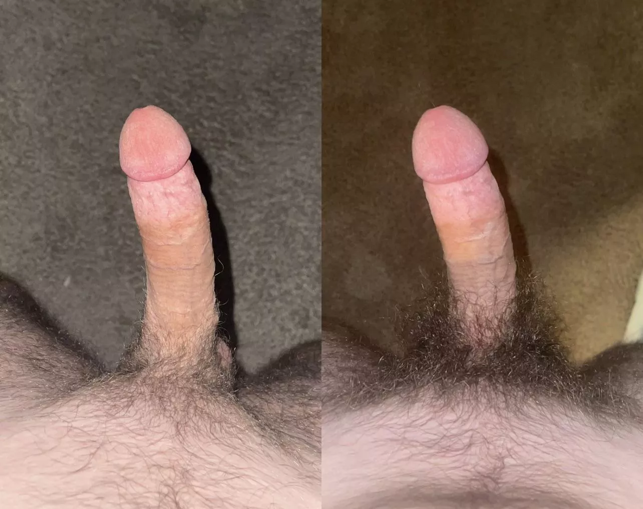 Does the bush make it look smaller? 😅 posted by hornyfit_throwaway