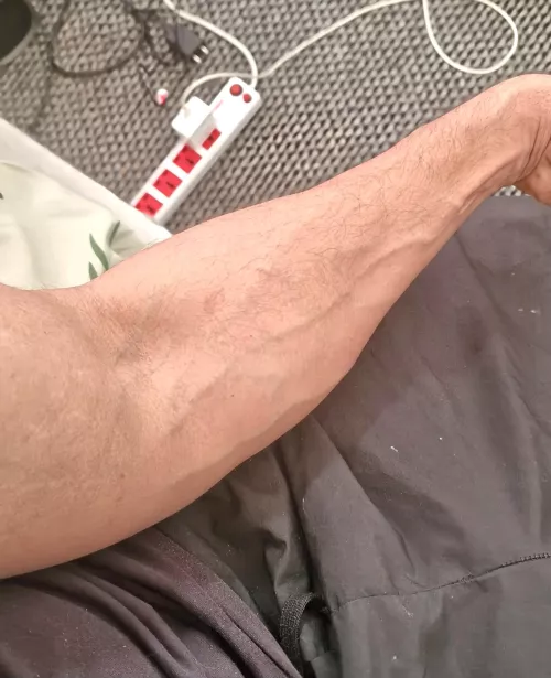 I don't train them,maybe I should! by frankieboyc