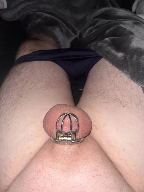 New cage by Milwaukee_is_trash