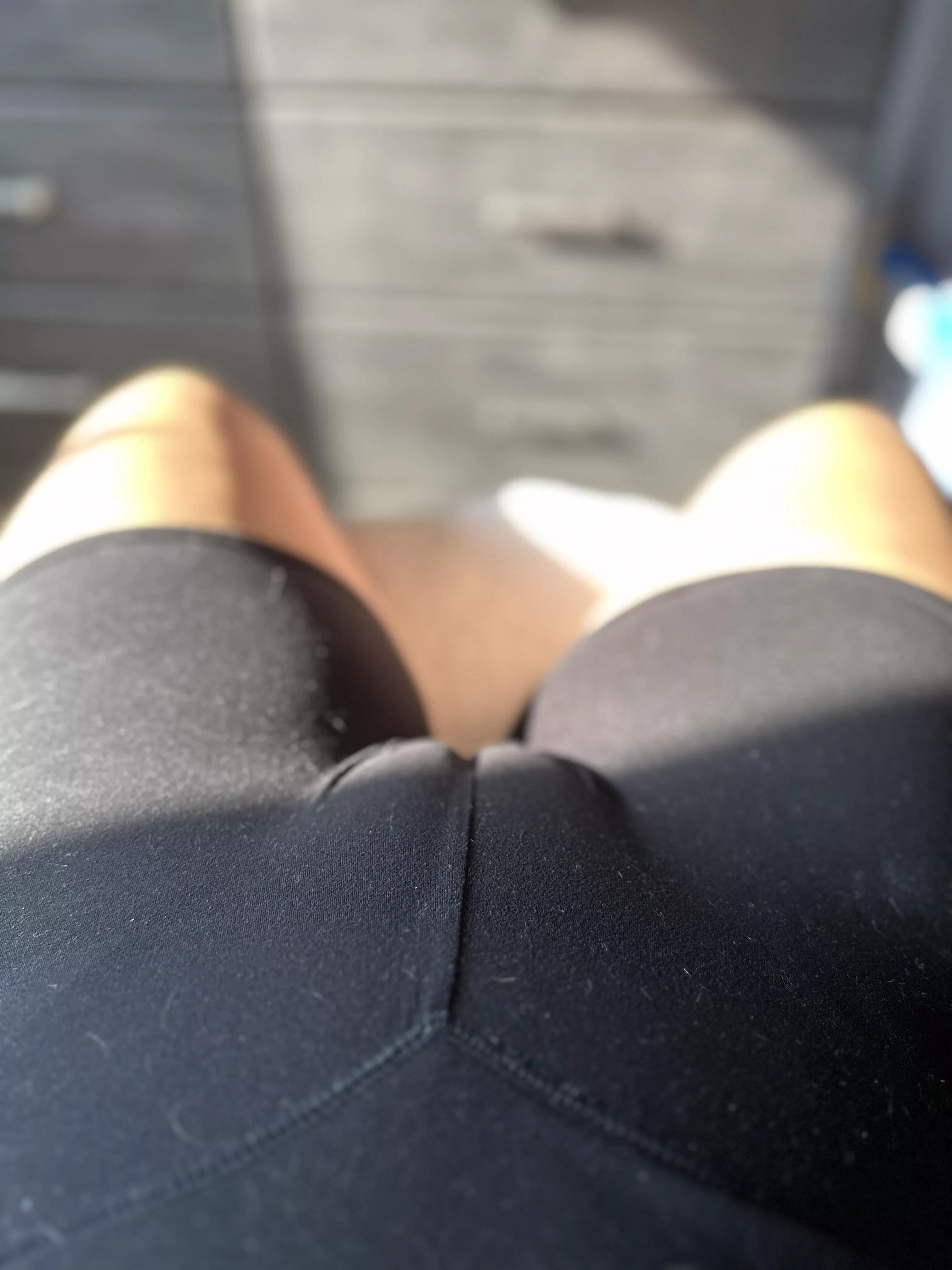 POV: you desperately need a lint roller posted by cumwcourt