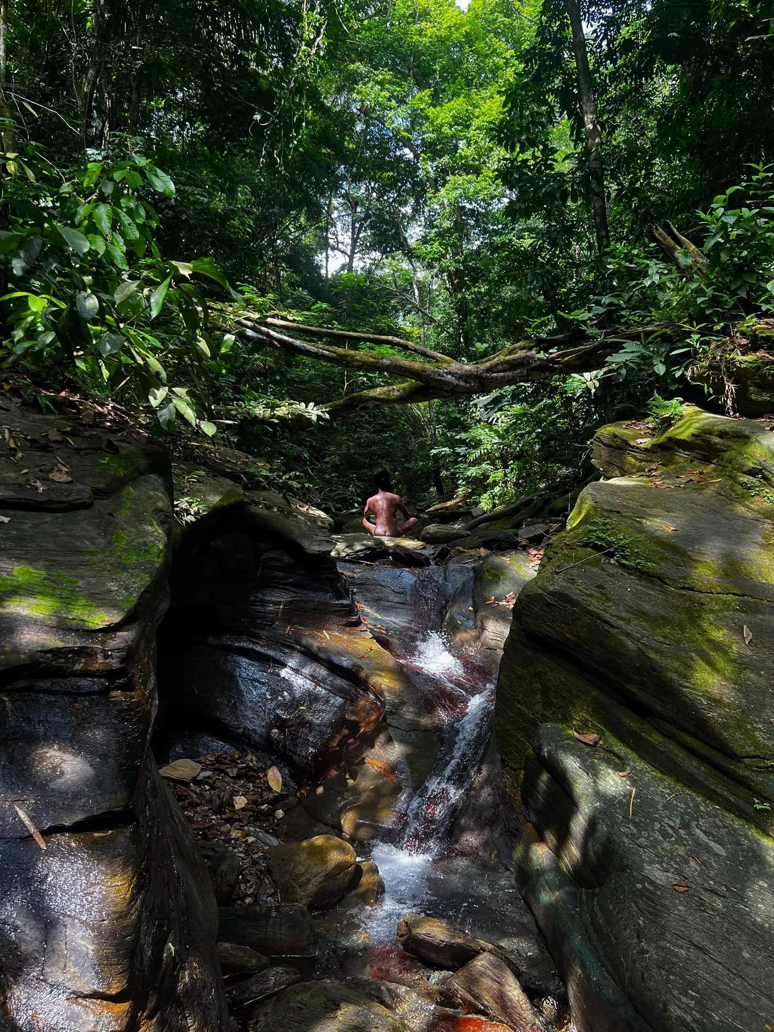 Reset posted by Manzan868