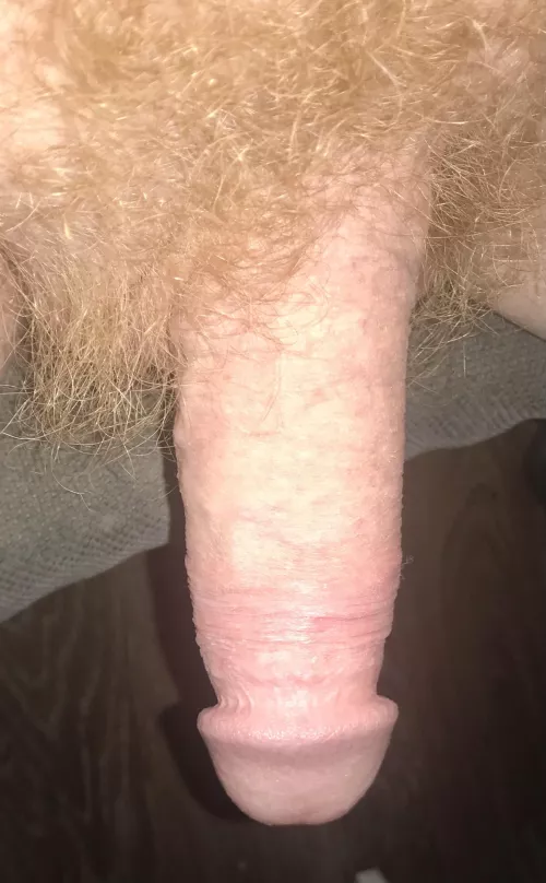 this happened in the morning when i was looking at a photo that had been sent by dm by Shortskin-