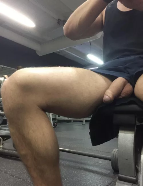 Wild in the gym by toffs25