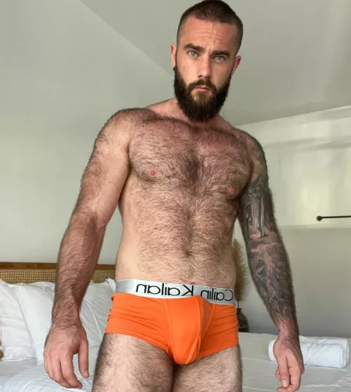 Would you sneak a peek in my windows if I lived in your neighborhood? by bwarren106