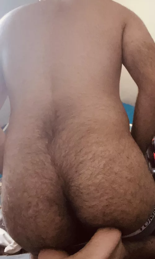 Did I present it nicely? by EmotionalLong7783