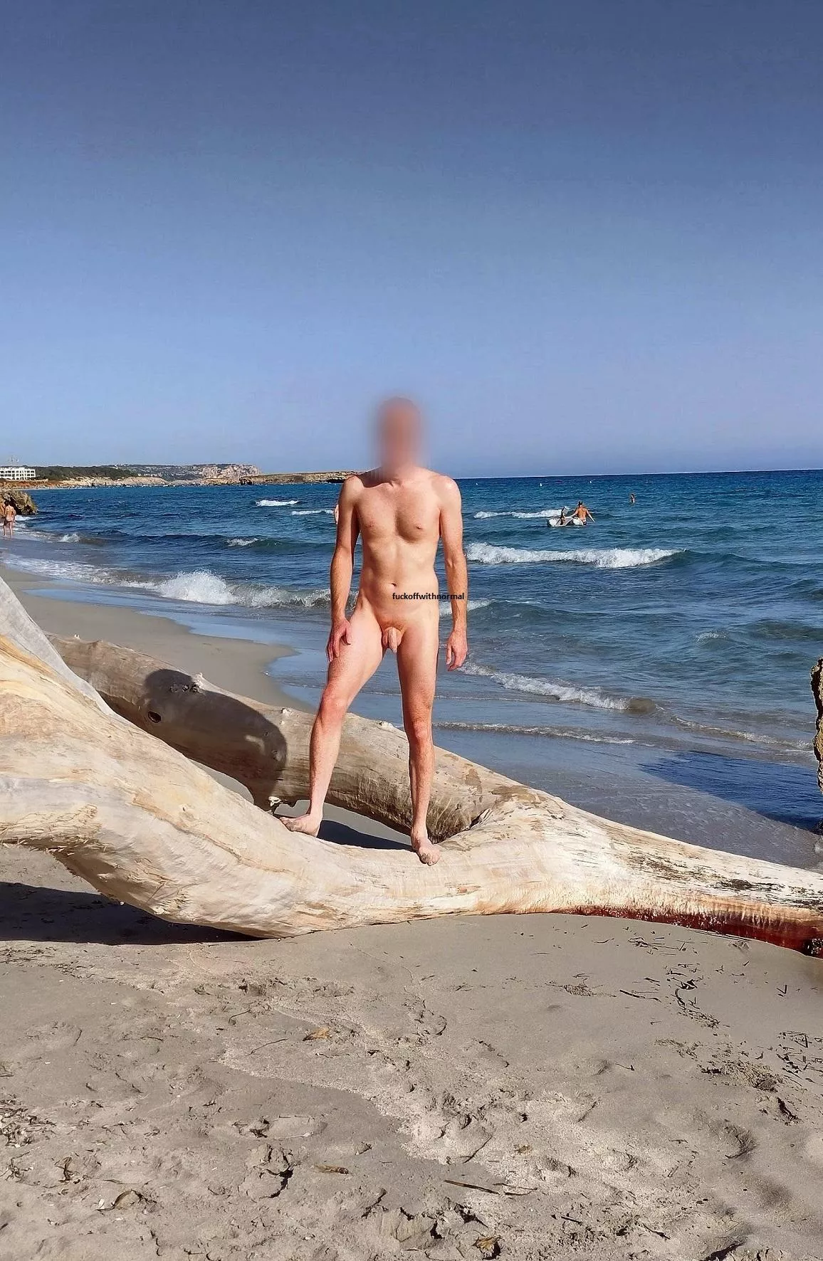 Driftwood posted by fuckoffwithnormal