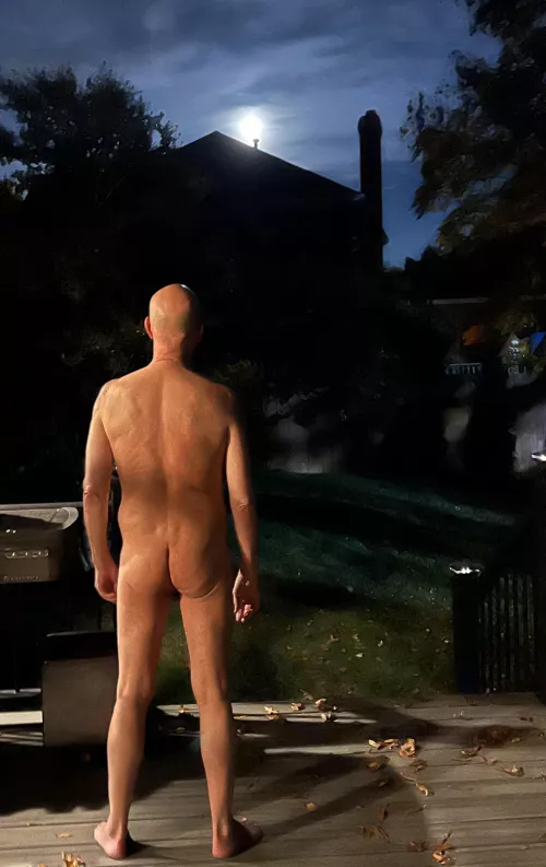 Full Hunter Moon by Obvious_Method_9777