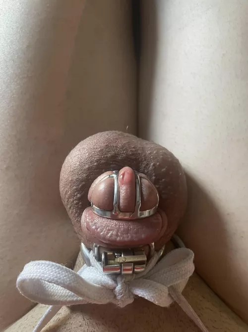 Hopefully it’s normal to be constantly dripping 😅 by femboy-michelle