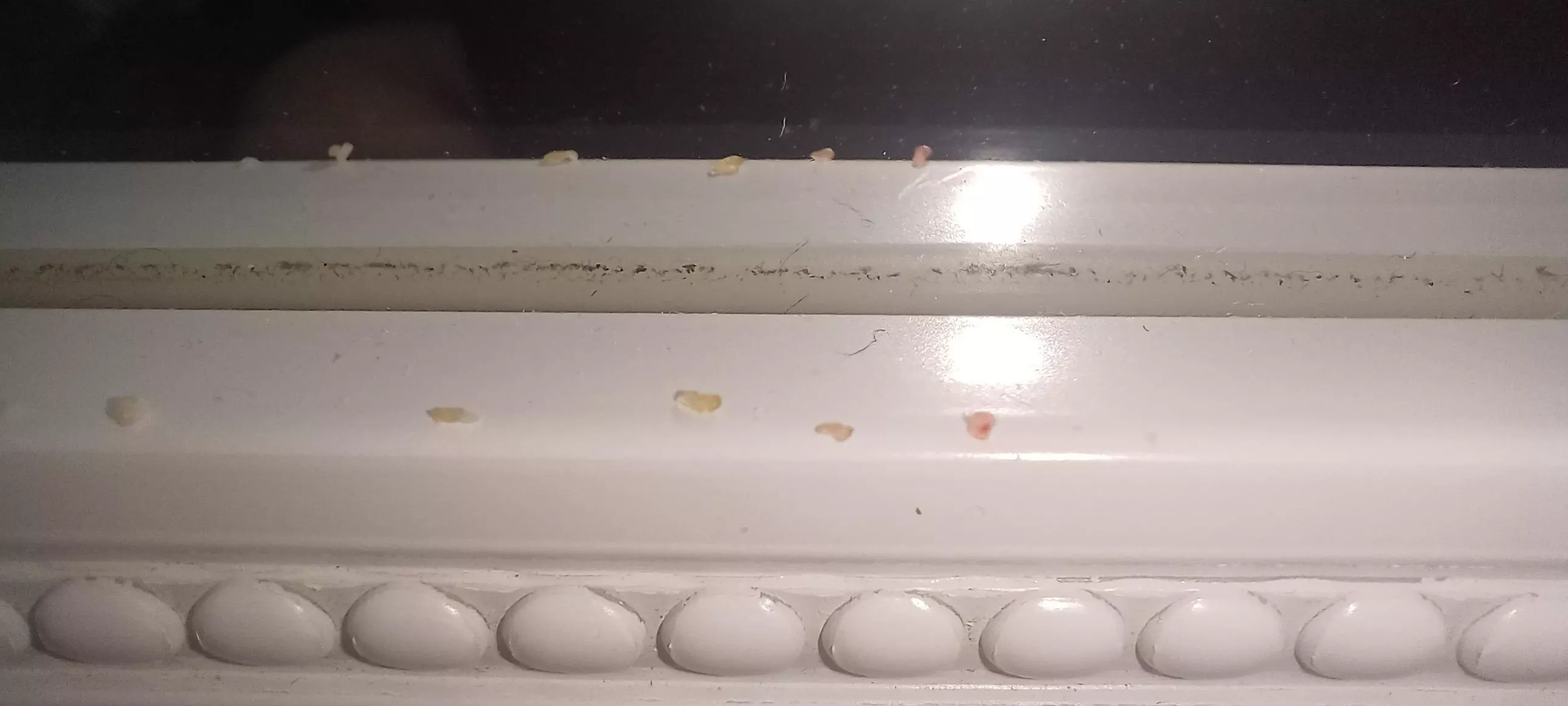 Just shaved my mustache off for the first time in months. Apparently, I've been harboring these fugitives right on my upper lip. posted by Picax8398