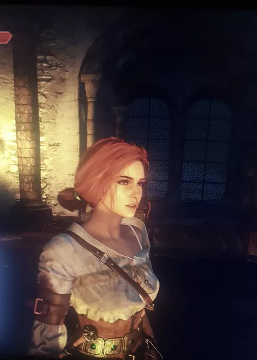 Merging of the witcher 3 girls (mod by unknown) by JohnMarst75