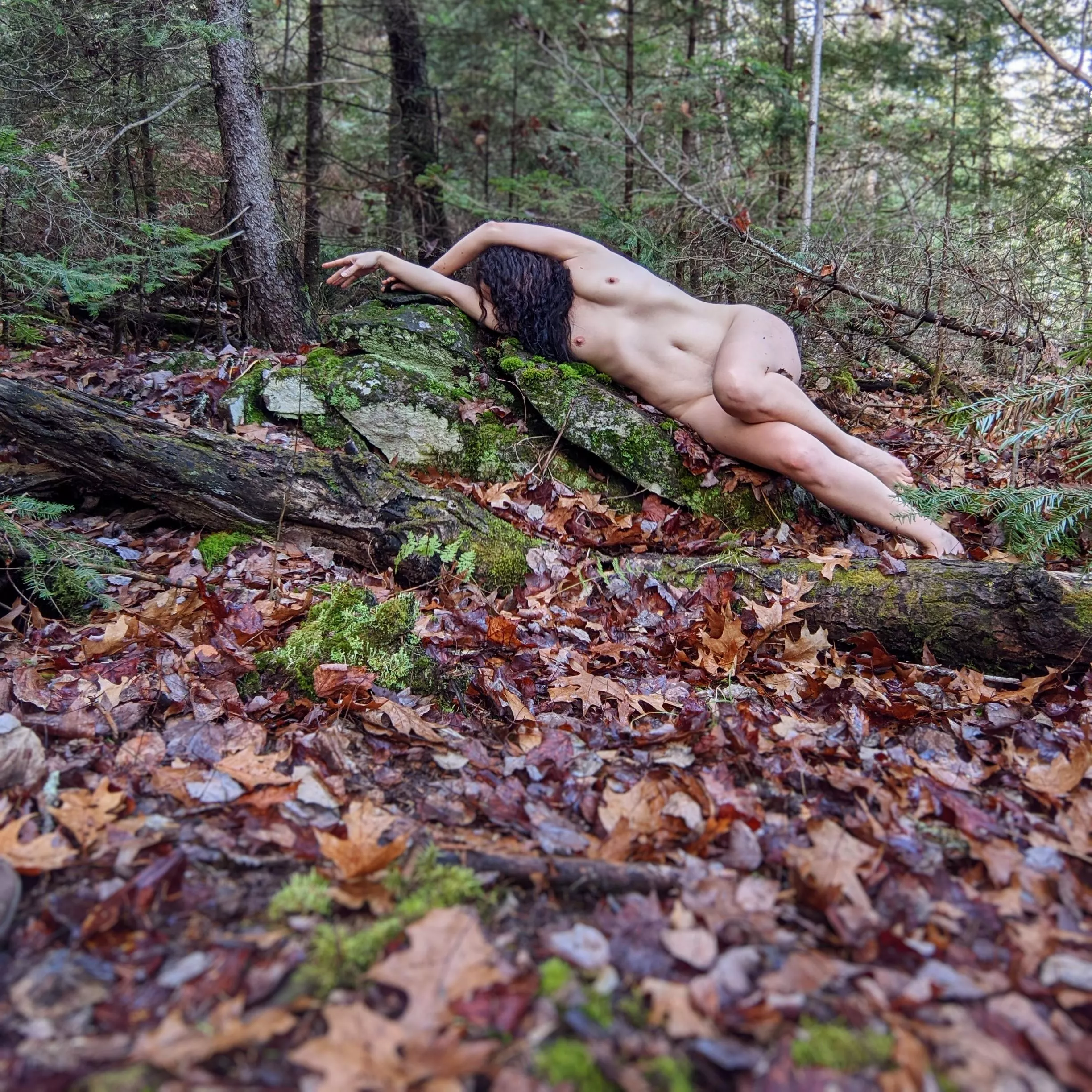 Settling in for along winter's nap posted by DaddysCuriousKitty