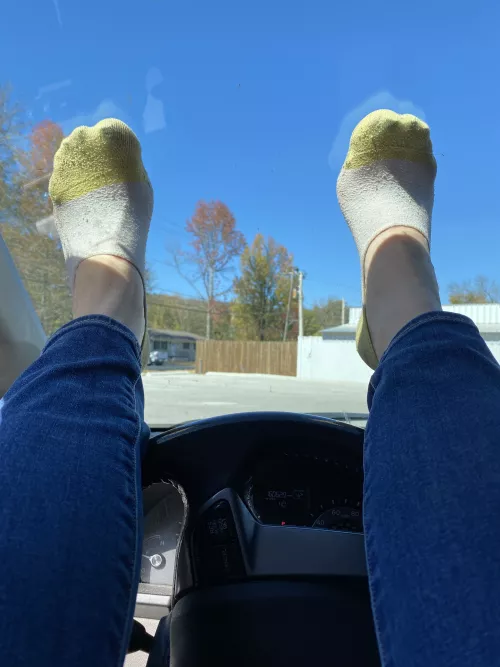 Wish I could have taken this pic from the other side of the window by solefulshasta10