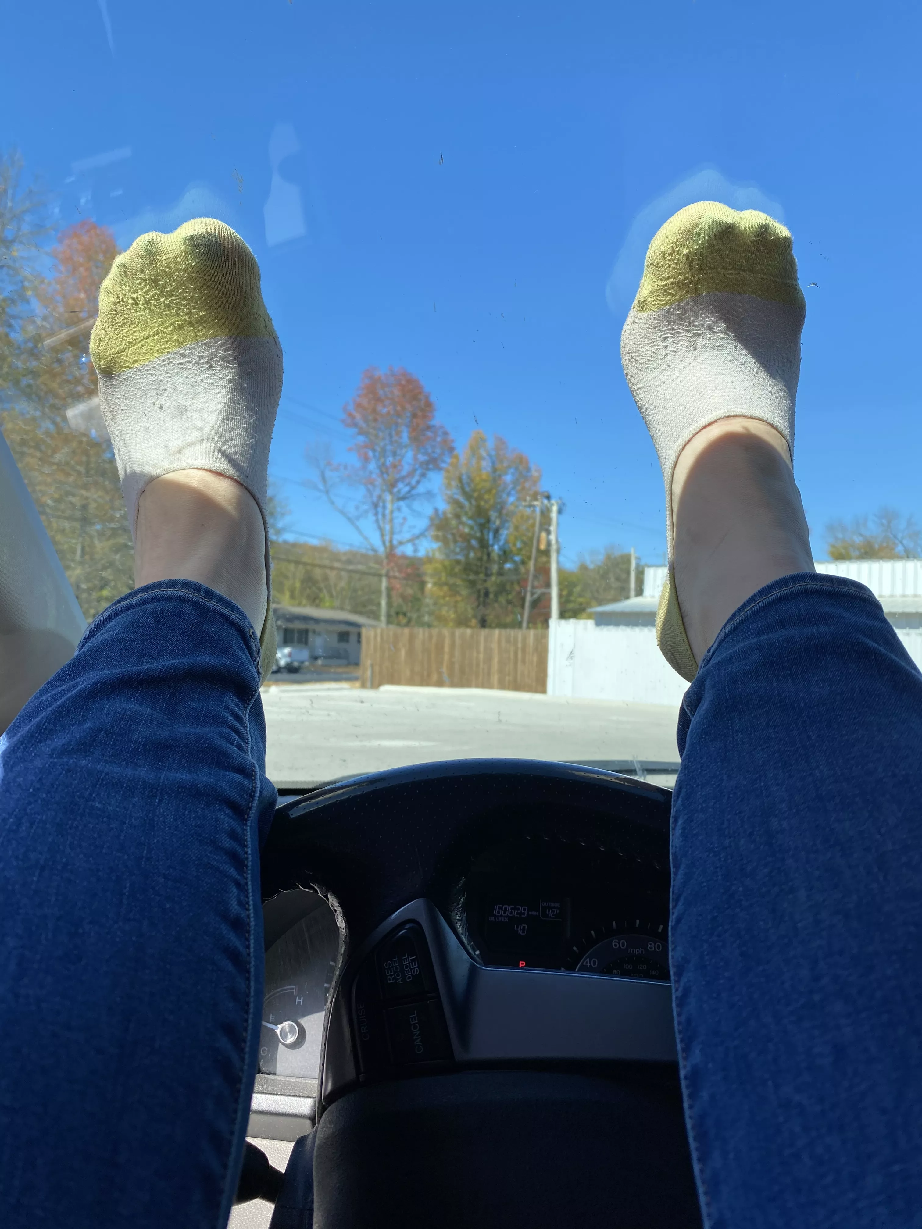 Wish I could have taken this pic from the other side of the window posted by solefulshasta10