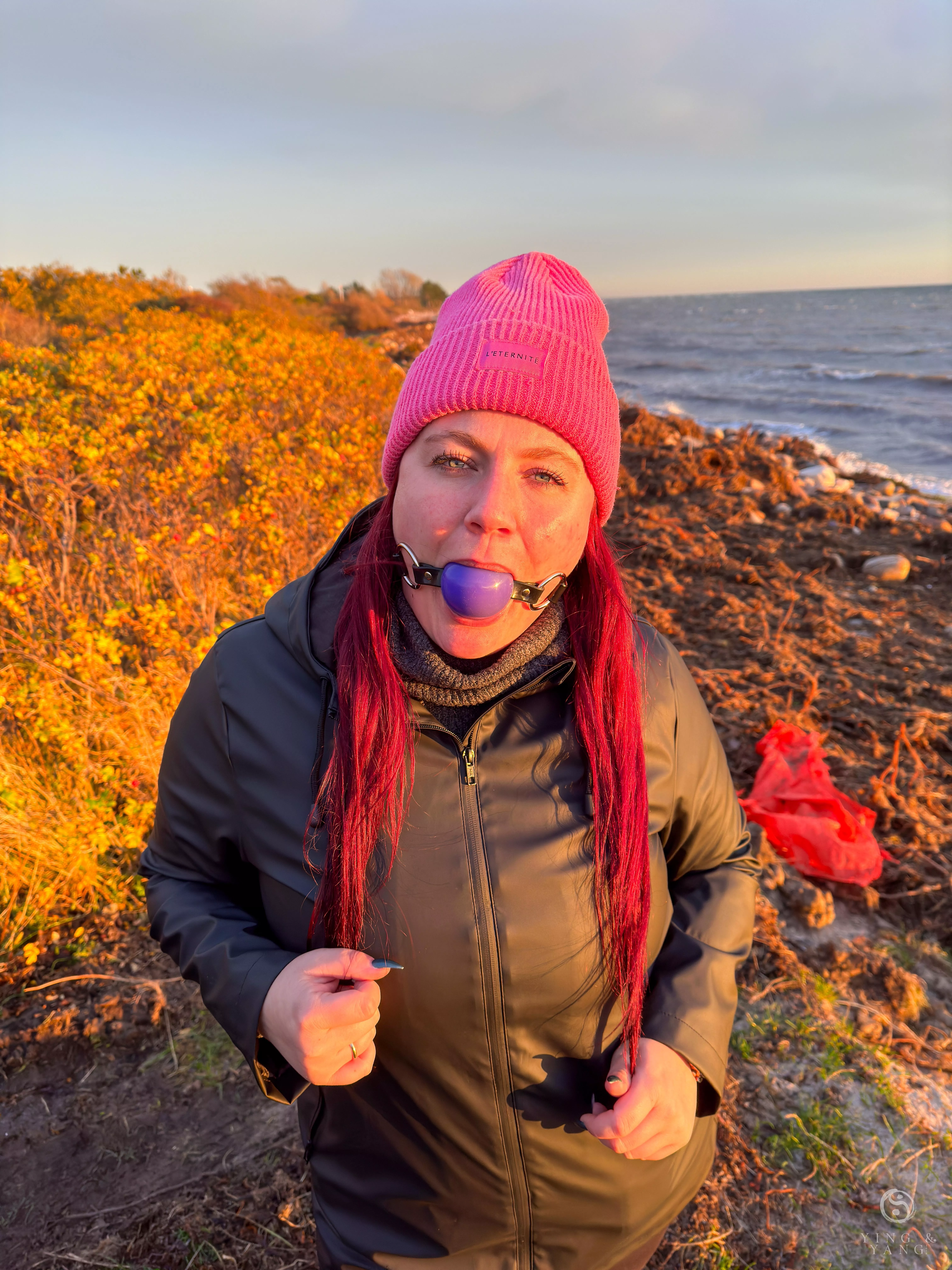 Beautiful sunset at the danish coast posted by ying_yang_2019