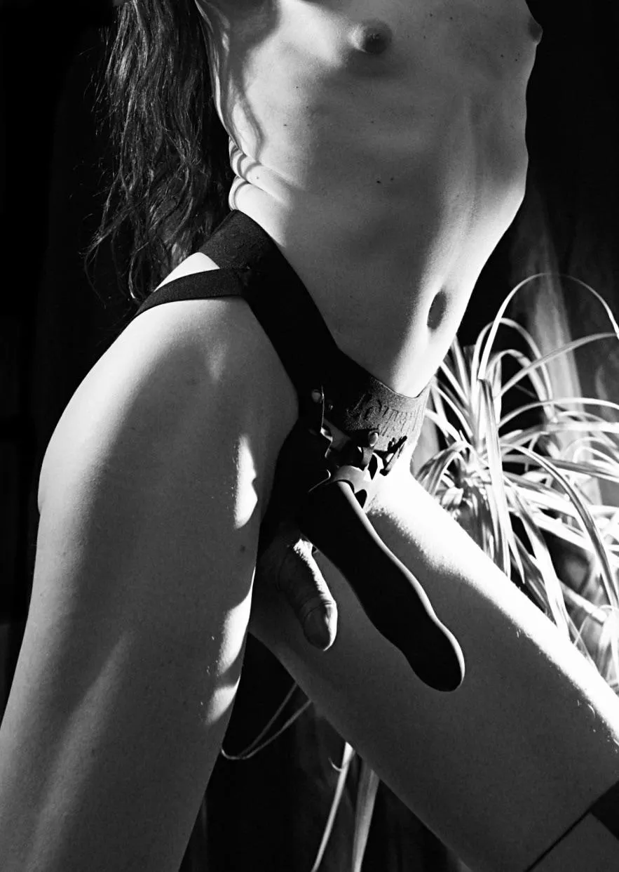 choose your weapon! posted by mailouve