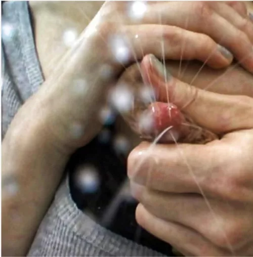 Come to mommy by kavya_arora18