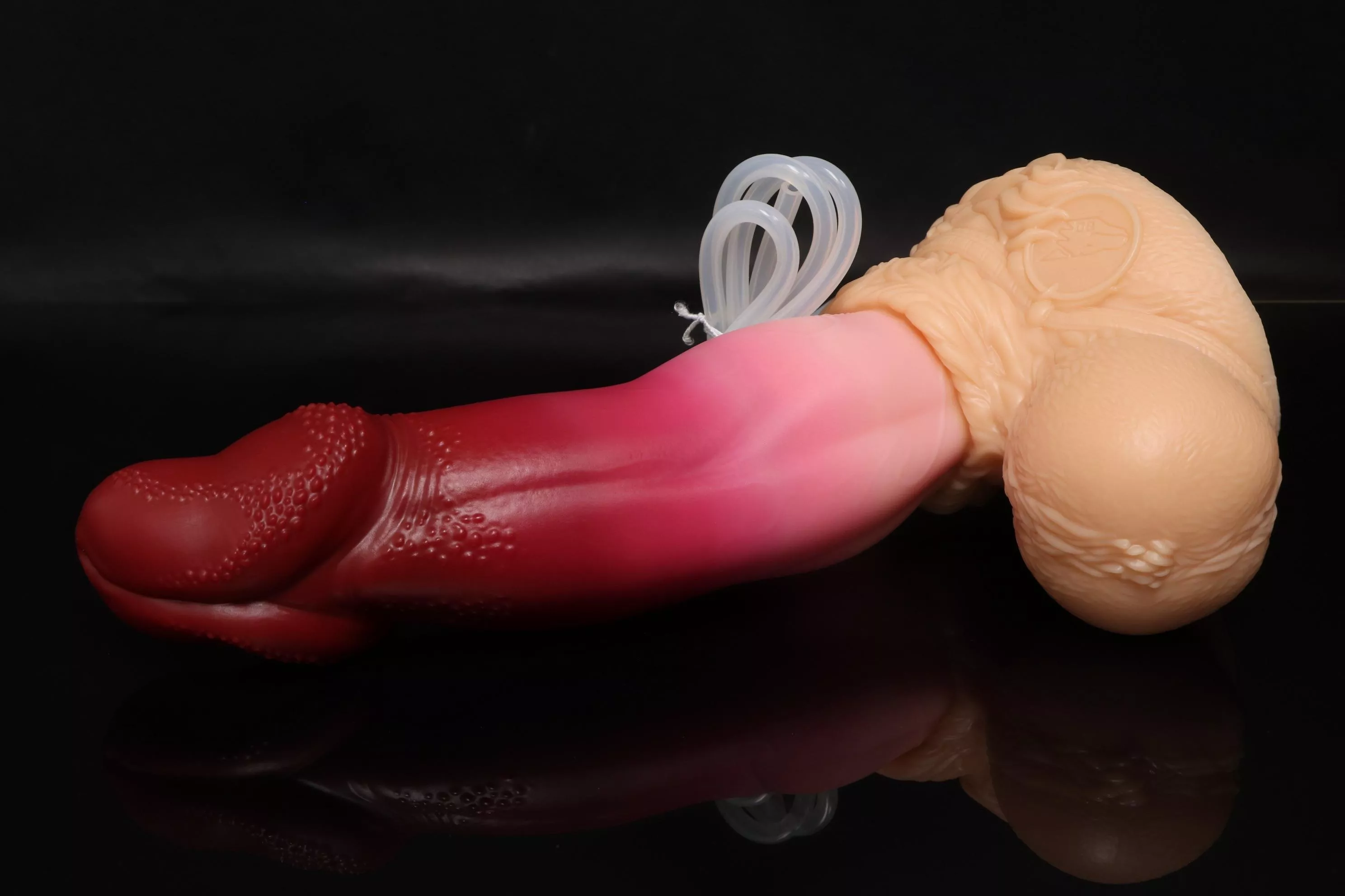 Feeling lucky with my the newest friend! posted by QT-Kat