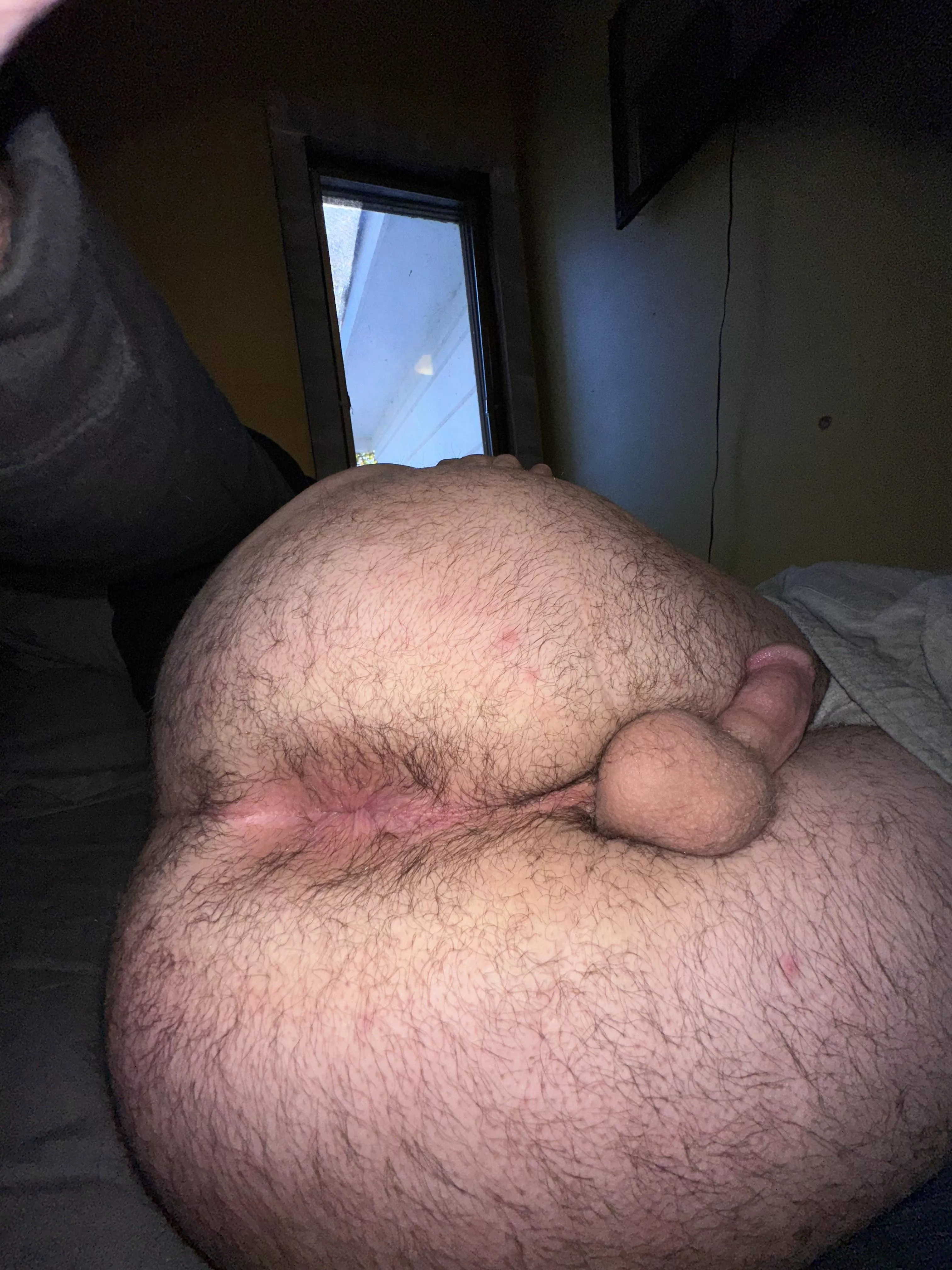 Haven’t shaved in a little over a month. What do you think? posted by Reynolds763